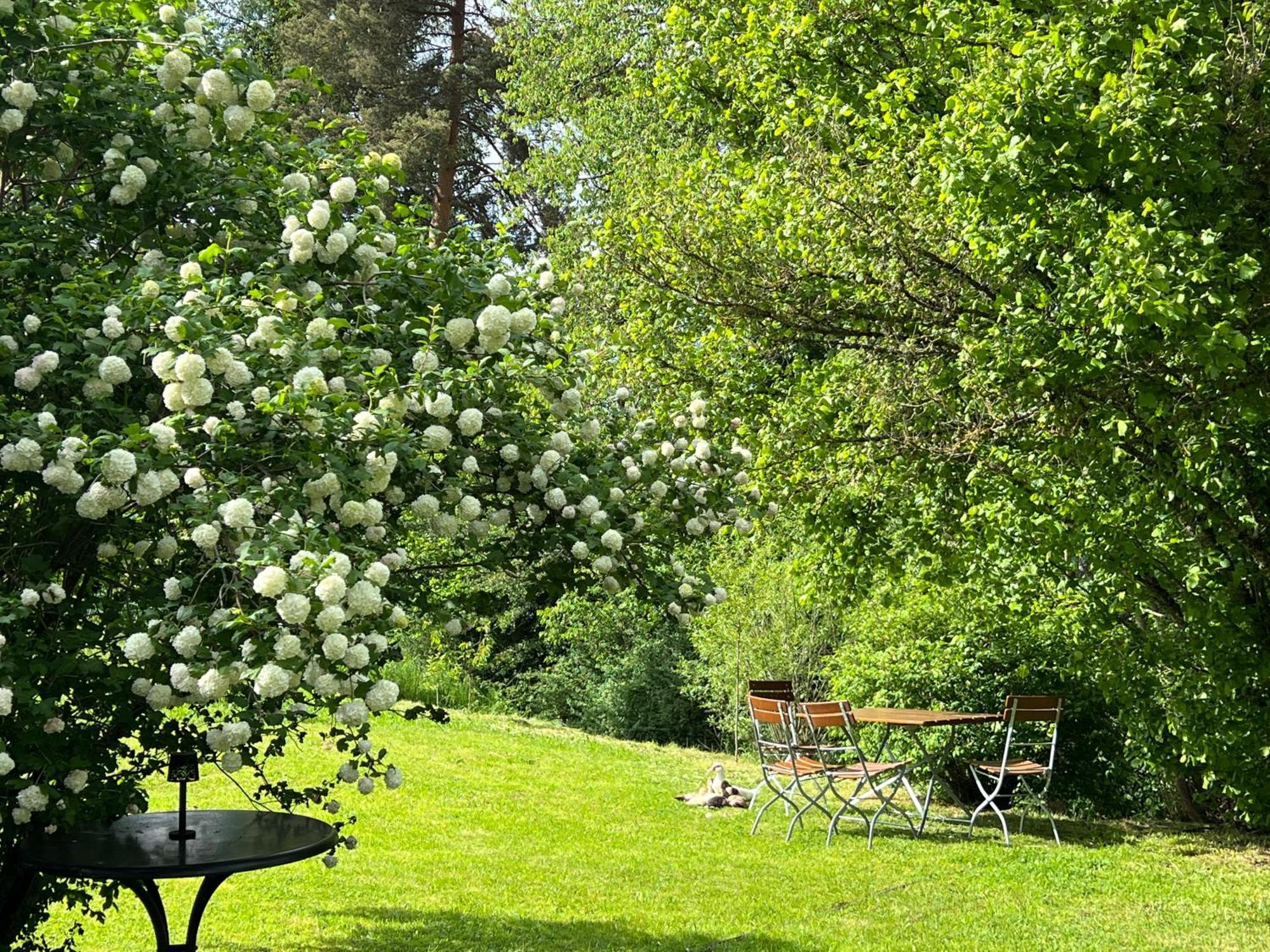 Hotel Hirsch Fluorn-Winzeln Buitenkant foto